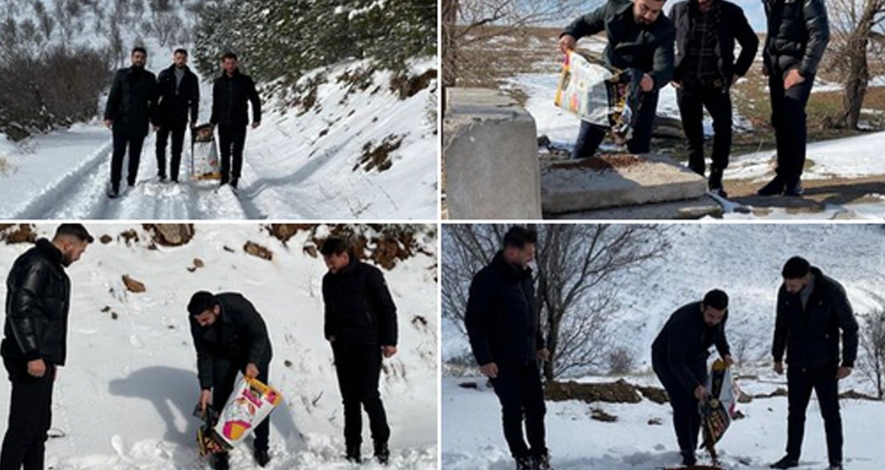 Akp’li Gençler Akp’lilerin HichMenna USHRADES! Sokak Köpeklerini Paylahtiklarana bin Pihman Oldular!