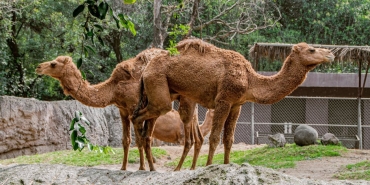 12-Dev-Adam-Avrupa-Zirvesinde-Cifte-Dikkat-Ceken-Istatistikler-featured