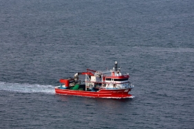 Marmara8217da-Rekor-Av-72-Kiloluk-Minekop-Baligi-10.500-TL8217ye-Satildi-featured