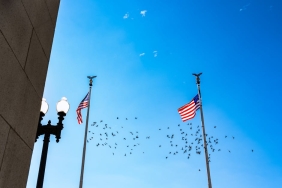 Milli-Kayakci-Abdullah-Yilmaz-Beijing8217de-Ceyrek-Finale-Kalamadi-featured