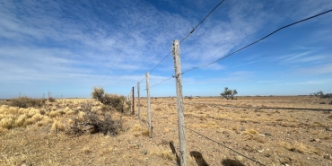 Trakya8217da-Sap-Alarmi-Buyukbas-Hayvanlarda-Kapsamli-Asilama-Basladi-featured