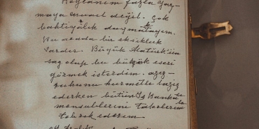 Brezilya8217da-Heykel-Bogayi-Rakip-Sanan-Tosunun-Saskinligi-Viral-Oldu-featured